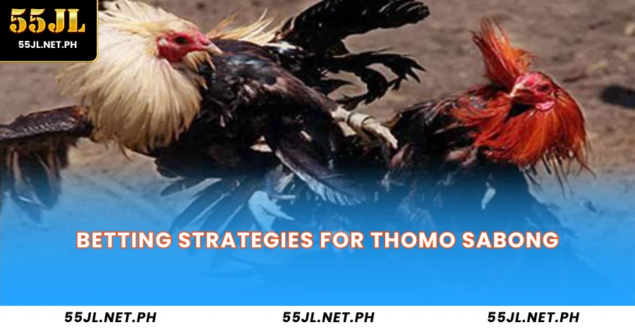 Betting Strategies for Thomo Sabong